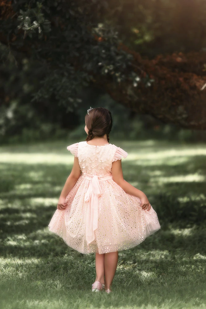 TRISH SCULLY SHIMMER BUTTERFLY DRESS