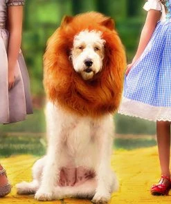 TRISH SCULLY HOME Accessories DOG LION MANE