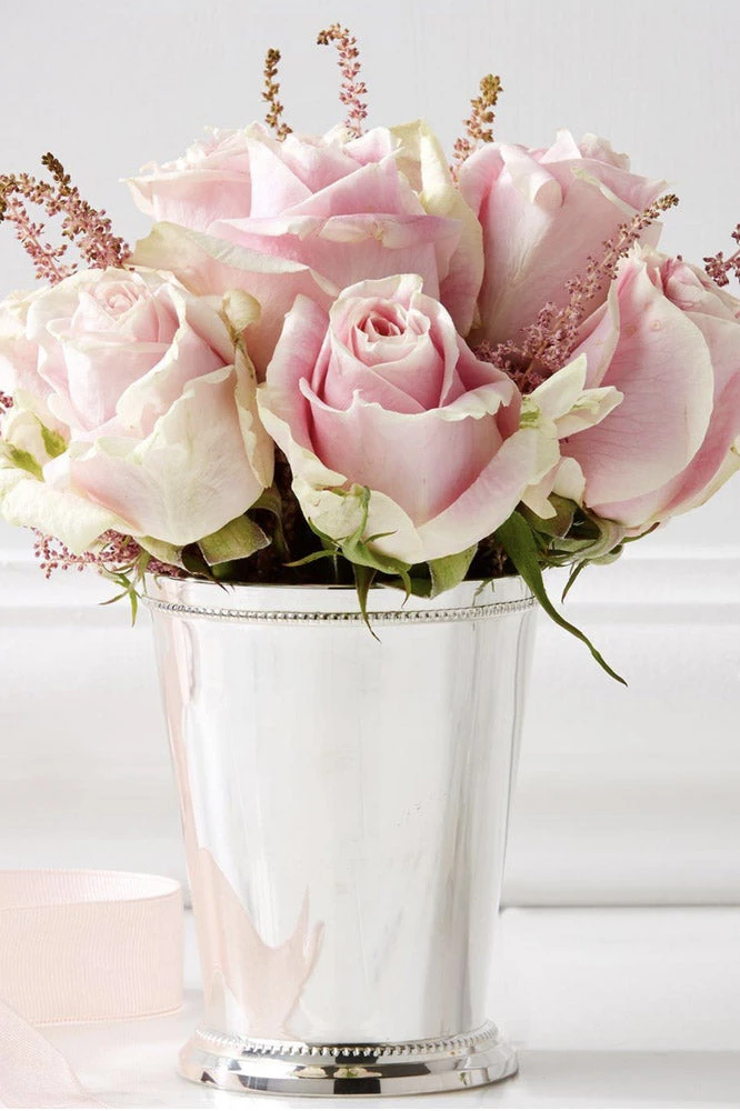 TRISH SCULLY SILVER PLATED JULEP CUP STANDARD Mother's Day Gift Guide