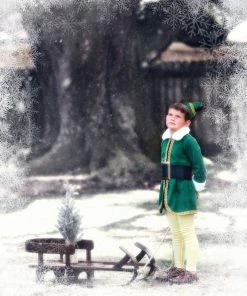 TRISH SCULLY HOME THE ELF Dress Up