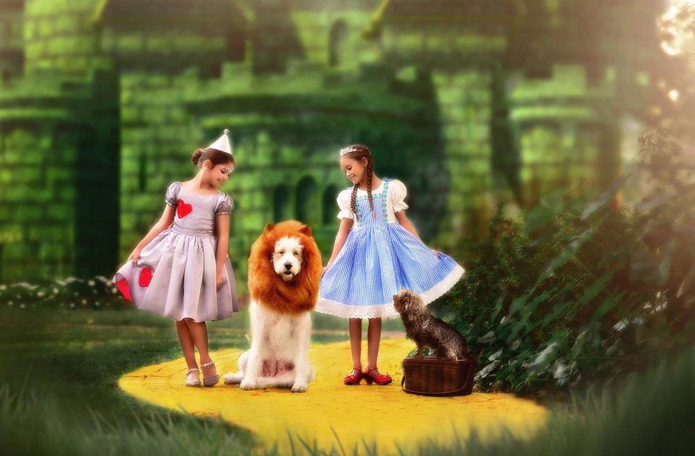 TRISH SCULLY HOME TIN GIRL