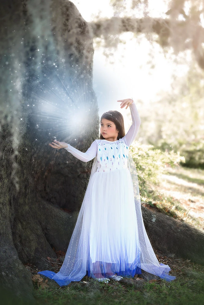 TRISH SCULLY HOME PRINCESS SIGRID GOWN Dress Up