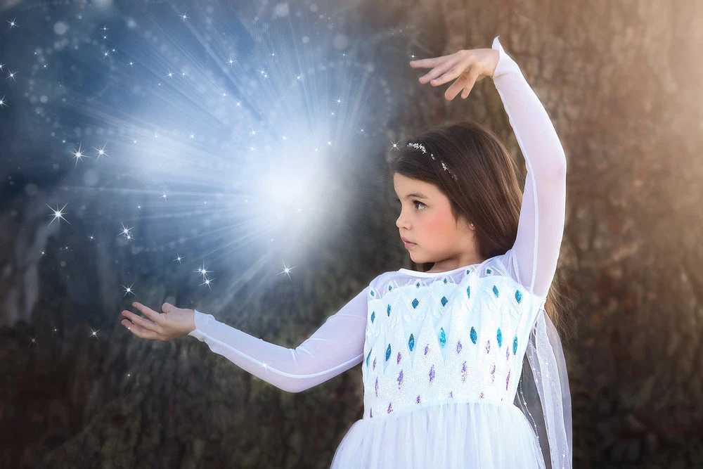 TRISH SCULLY HOME PRINCESS SIGRID GOWN Dress Up