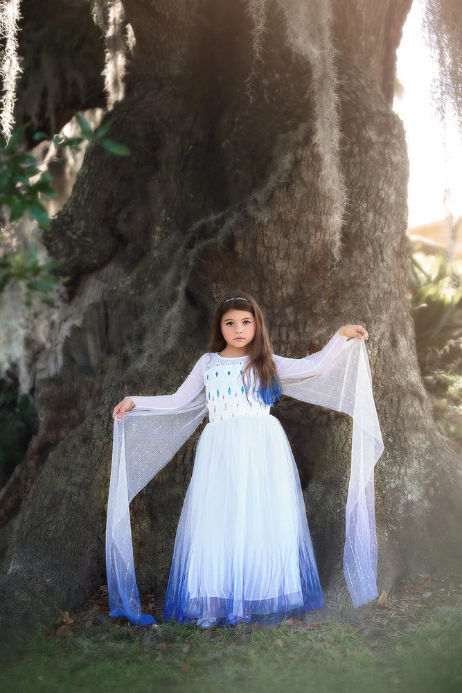 TRISH SCULLY HOME PRINCESS SIGRID GOWN Dress Up