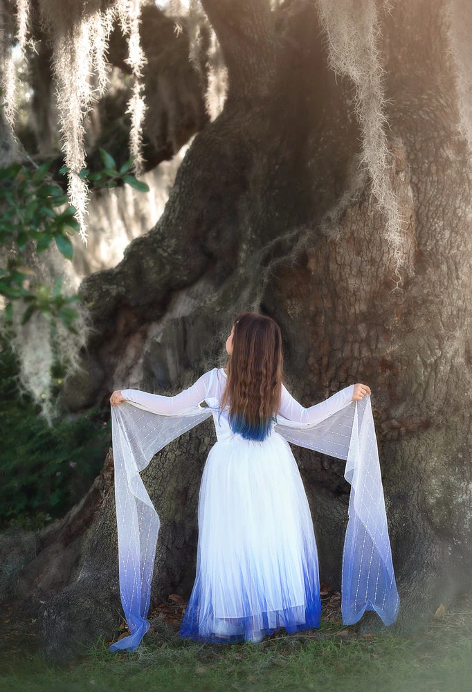 TRISH SCULLY HOME PRINCESS SIGRID GOWN Dress Up