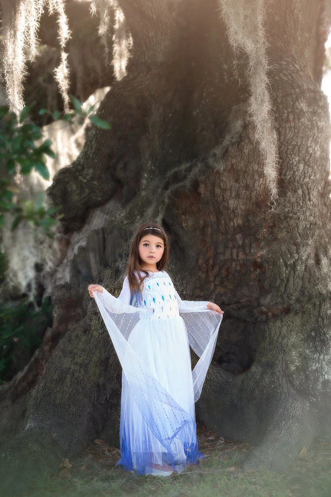 TRISH SCULLY HOME PRINCESS SIGRID GOWN Dress Up