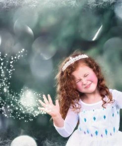 TRISH SCULLY HOME PRINCESS SIGRID GOWN Dress Up