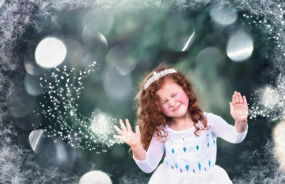 TRISH SCULLY HOME PRINCESS SIGRID GOWN Dress Up