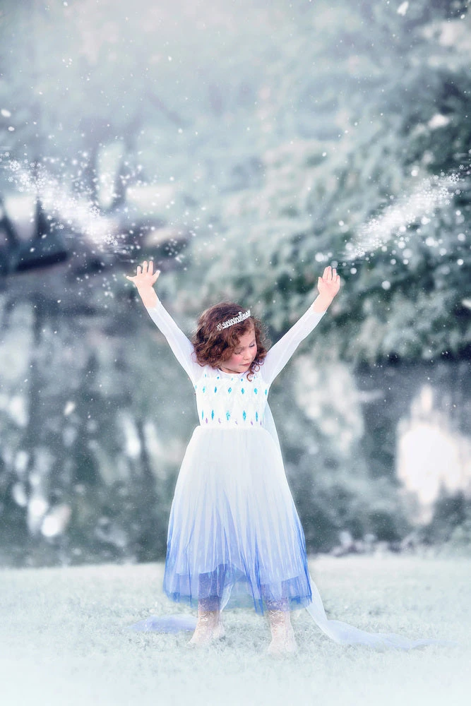 TRISH SCULLY HOME PRINCESS SIGRID GOWN Dress Up