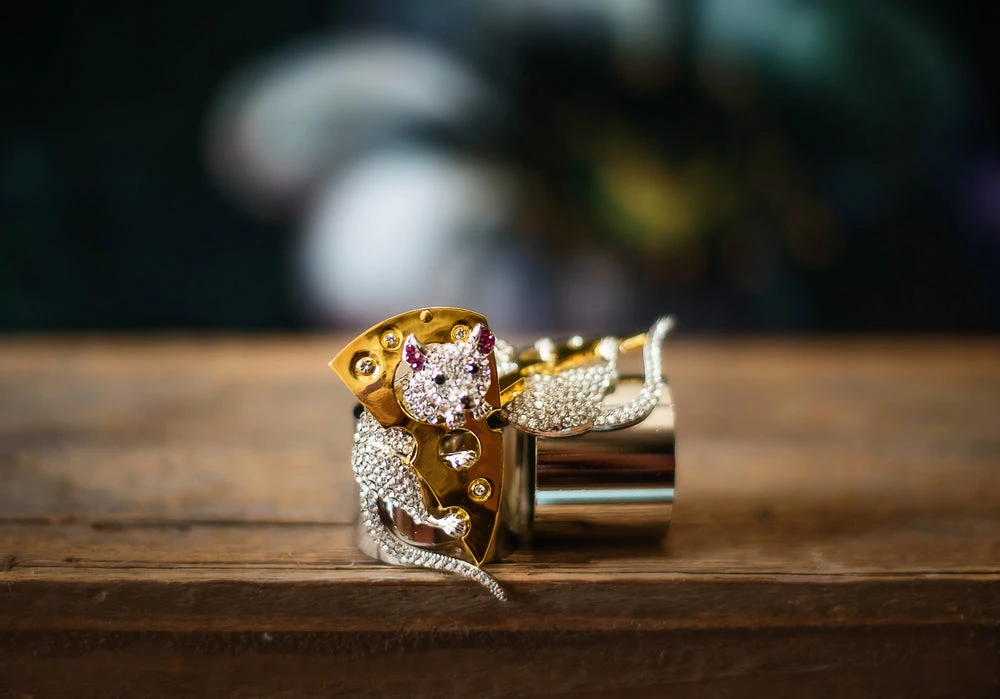 TRISH SCULLY REMY NAPKIN RING SET OF 2