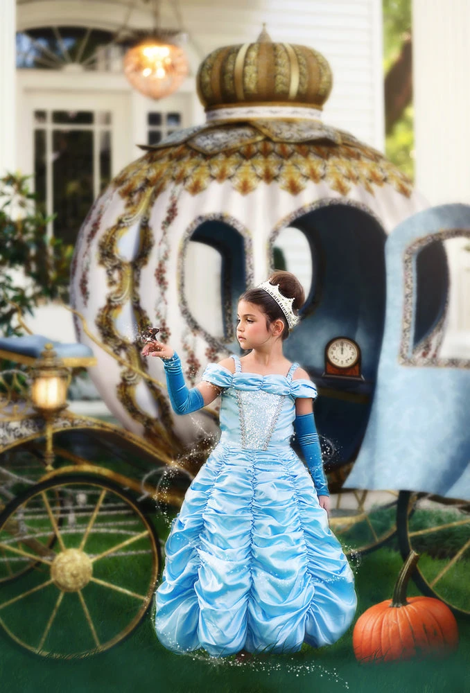 TRISH SCULLY PRINCESS CAROLINE GOWN & GLOVE SET