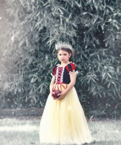 TRISH SCULLY HOME PRINCESS KATE DRESS Dress Up