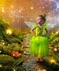 TRISH SCULLY Dress Up ENCHANTED FAIRY DRESS & WING SET