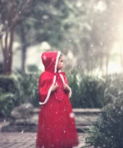 TRISH SCULLY LITTLE RED RIDING HOOD