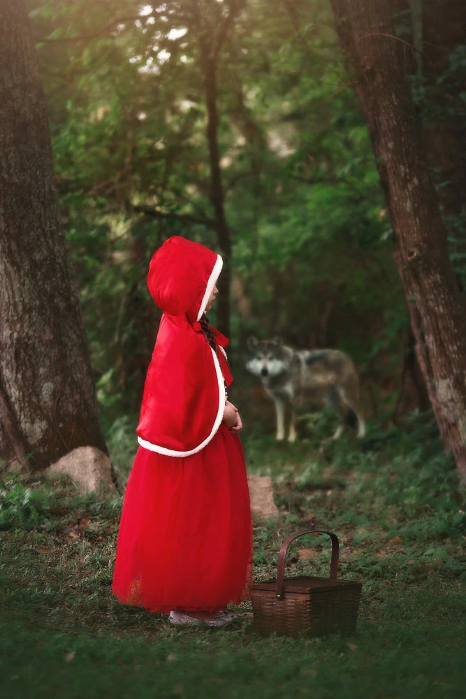 TRISH SCULLY LITTLE RED RIDING HOOD