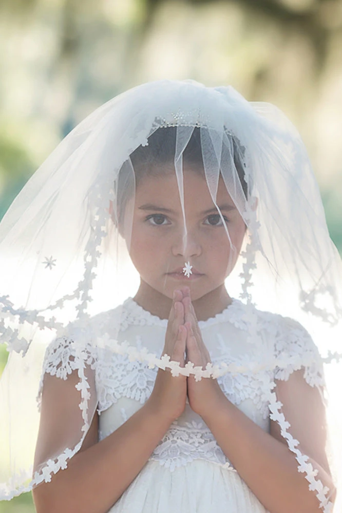 TRISH SCULLY BIXBY VEIL Accessories