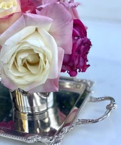 TRISH SCULLY SILVER PLATED CLARENCE TRAY HOME