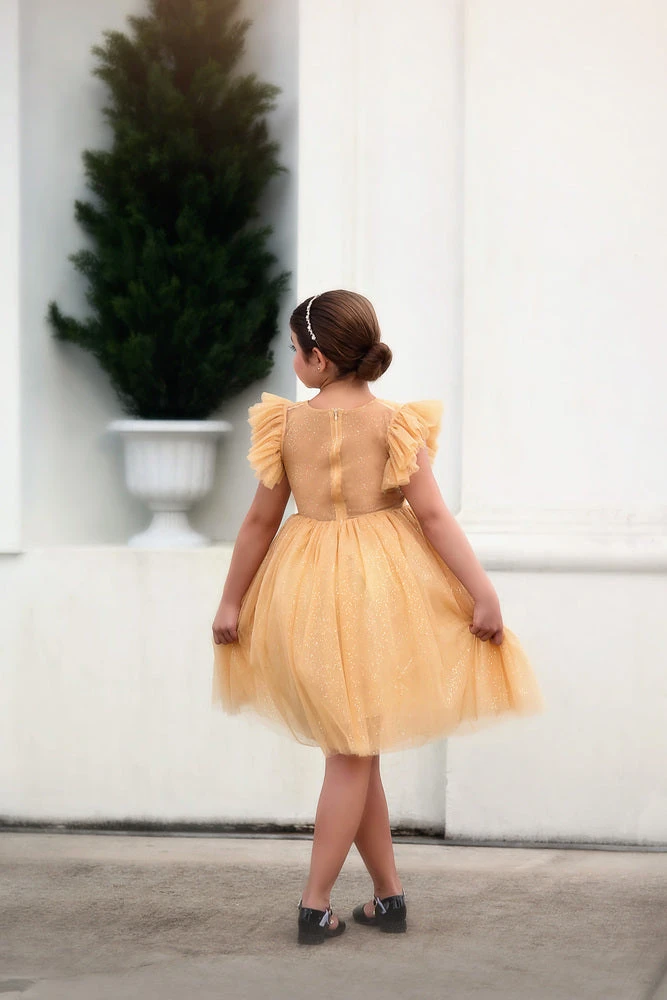 TRISH SCULLY MILLY DRESS SPARKLING CHAMPAGNE