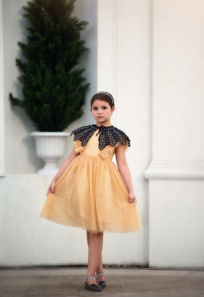 TRISH SCULLY MILLY DRESS SPARKLING CHAMPAGNE