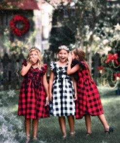 TRISH SCULLY BIANCA DRESS RED & BLACK BUFFALO CHECK SALE