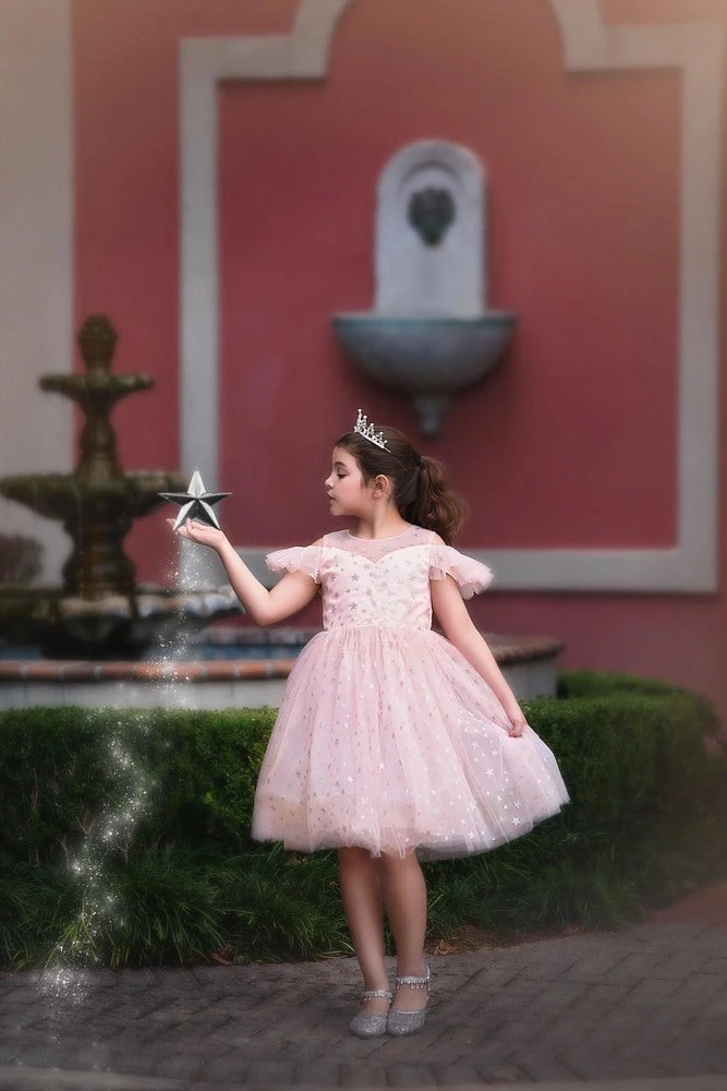 TRISH SCULLY ETOILE DRESS PINK